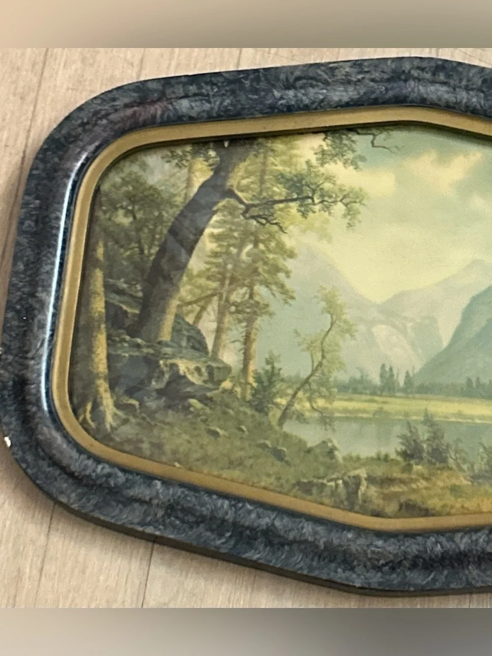 True Vintage Early 1900's Landscape Wall Art-Framed Yosemite Mountain Lake Print